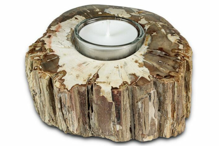 Polished Petrified Wood Candle Holder - Madagascar #337585